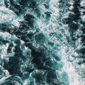 Meet your Posher, Jaqueese